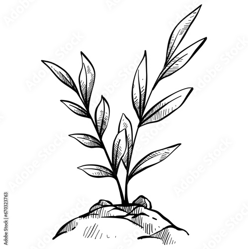 plantation crops handdrawn illustration
