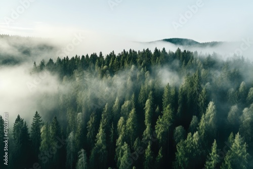Aerial view of coniferous forest in the morning fog, thick fog covered with thick coniferous forest. forest with a bird's eye view, AI Generated