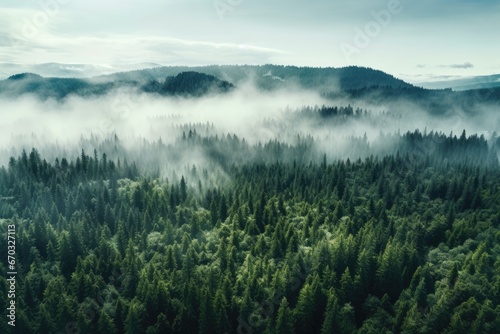 Aerial view of foggy forest in the mountains. Beautiful landscape, thick fog covered with thick coniferous forest. forest with a bird's eye view, AI Generated