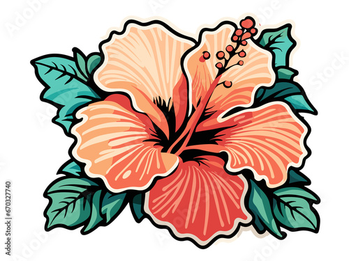 hibiscus