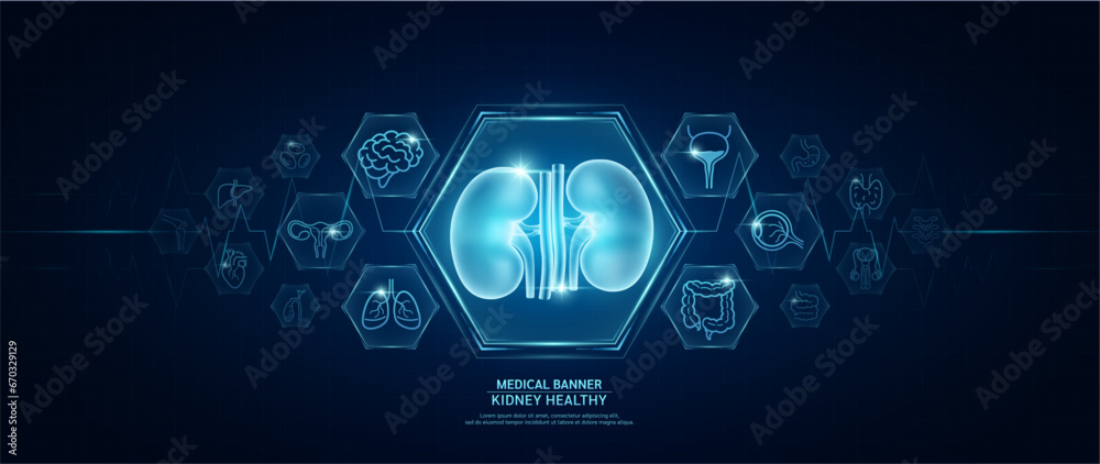 Kidney healthy. Human organs icon symbols. Medical science banner design template. Health care medical check up too innovative futuristic digital technology. Examining organ and heart pulse. Vector. - obrazy, fototapety, plakaty 