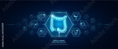 Intestine healthy. Human organs icon symbols. Medical science banner design template. Health care medical check up too innovative digital technology. Examining organ and heart pulse. Vector.