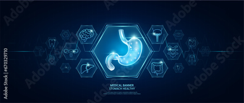 Stomach healthy. Human organs icon symbols. Medical science banner design template. Health care medical check up too innovative futuristic digital technology. Examining organ and heart pulse. Vector.