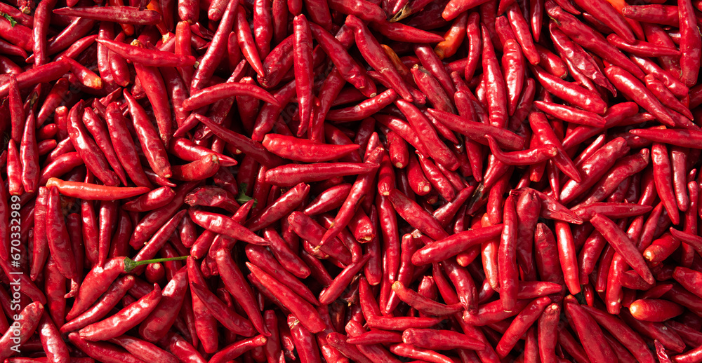 Naklejka premium Ripe red hot chili peppers vegetable texture background.