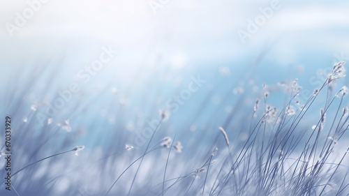 beautiful winter background, blurred snowfall in the field, dry blades of grass covered with snow and frost, nature © kichigin19