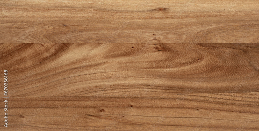 Obraz premium Elm wood plank texture. Wood plank texture background. Long elm empty desktop background.