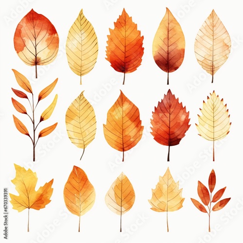 Collection of autumn leaves, watercolor illustration, set