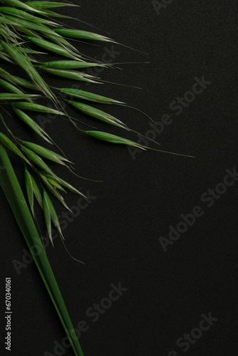 green grass on black background