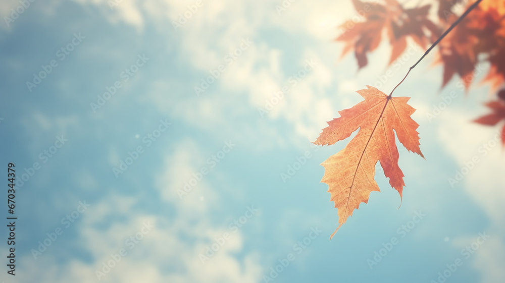 autumn leaf fall, falling leaves on the background of a light blue autumn sky, yellow and red leaves flying from the sky, view up autumn leaf fall, falling leaves on the background of a light blue autumn sky, yellow and red leaves flying from the sky, view up