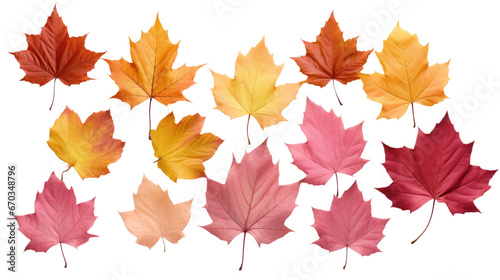 maple leaves autumn on the transparent background