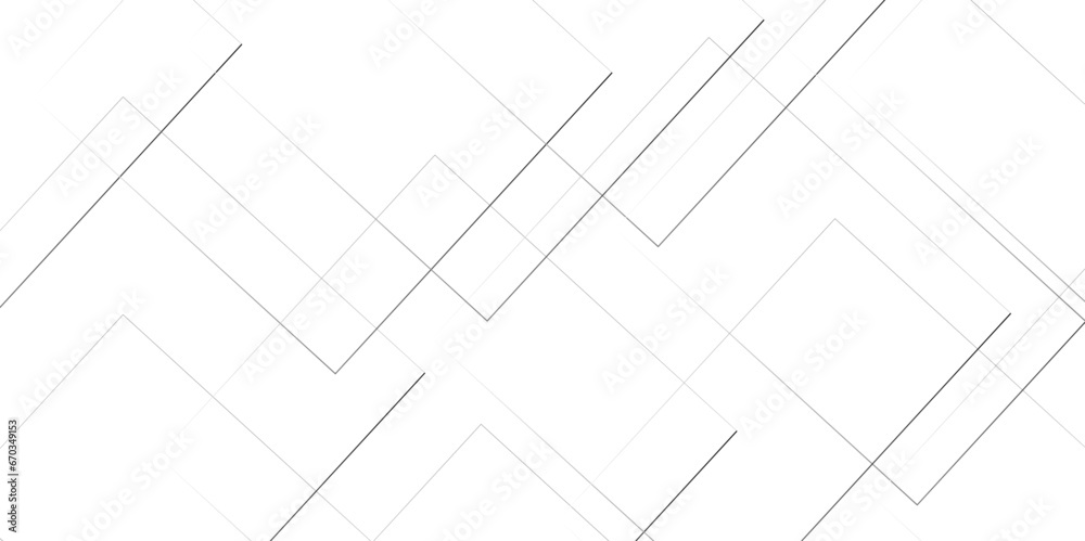 Abstract lines in black and white tone of many squares and rectangle shapes on white background. Metal grid isolated on the white background. nervures de Feuillet mores, fond rectangle and geometric	
 - obrazy, fototapety, plakaty 