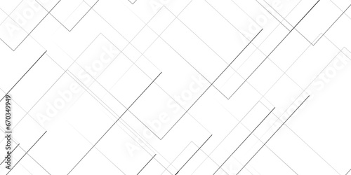 Abstract lines in black and white tone of many squares and rectangle shapes on white background. Metal grid isolated on the white background. nervures de Feuillet mores, fond rectangle and geometric 