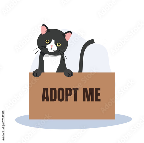 pet adoption and fostering concept. Black Cat in Box with 'Adopt Me' Sign