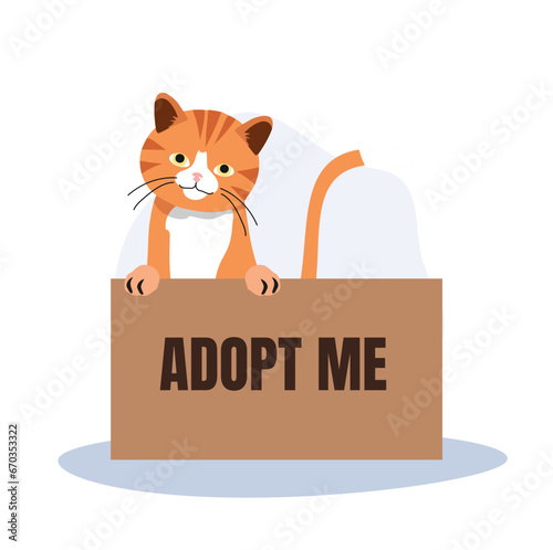 pet adoption and fostering concept. orange Cat in Box with 'Adopt Me' Sign
