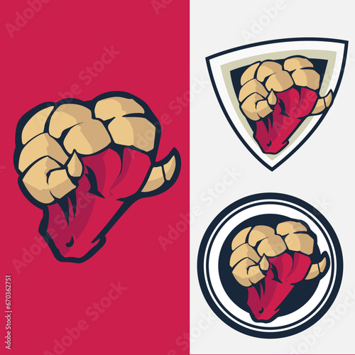 set of head rams logo with shield background. badges logo concept for sports team