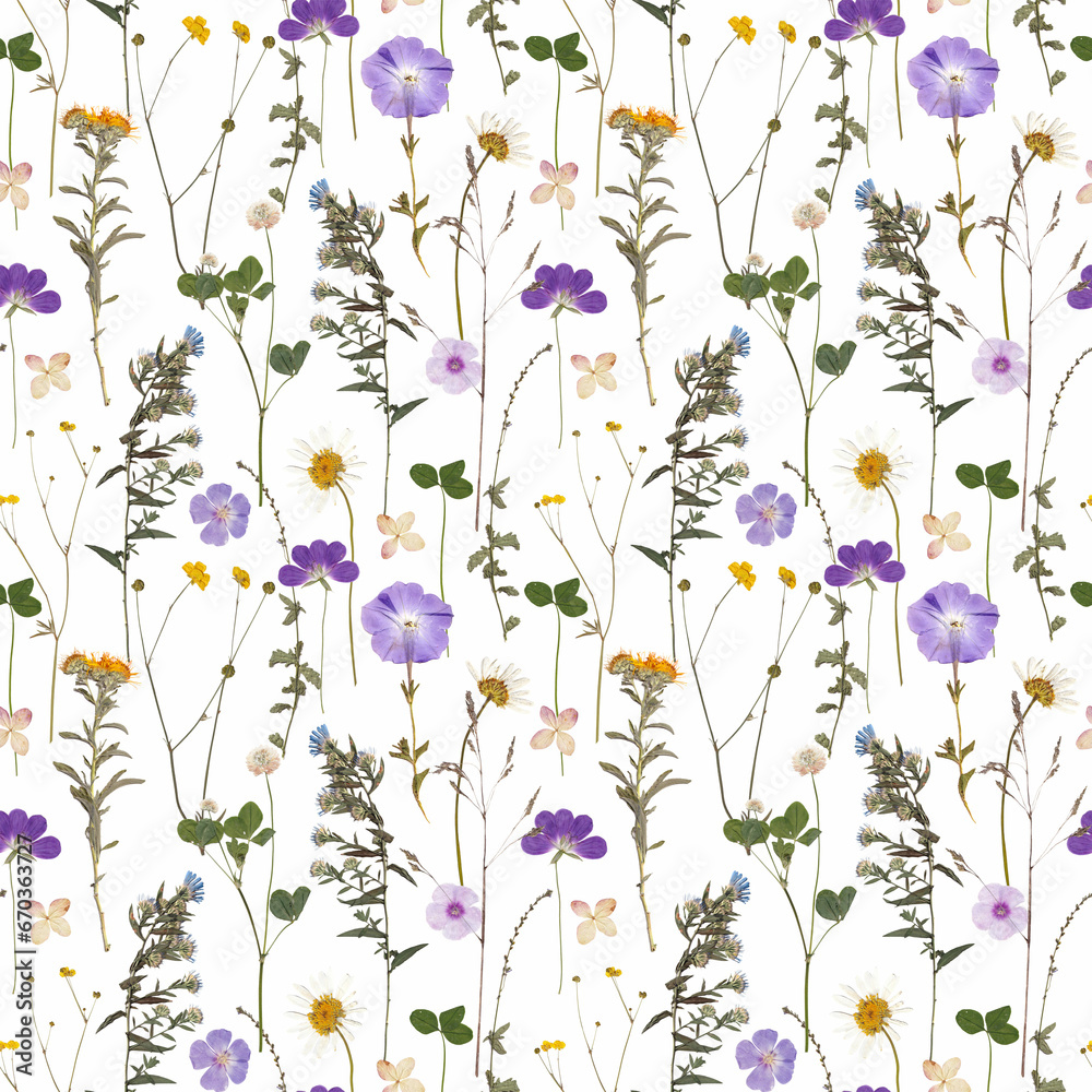 Beautiful floral seamless pattern with realistic wild herbs and flowers. Stock illustration.