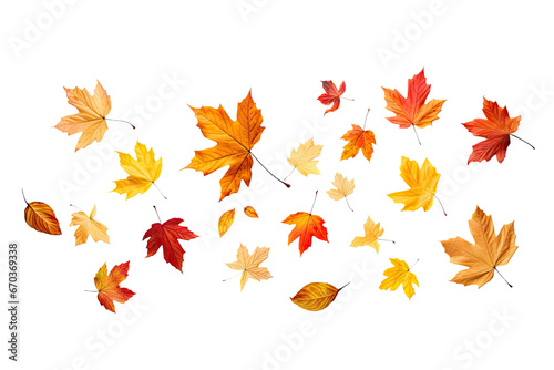 colorful autumn leaves falling on an isolated transparent background