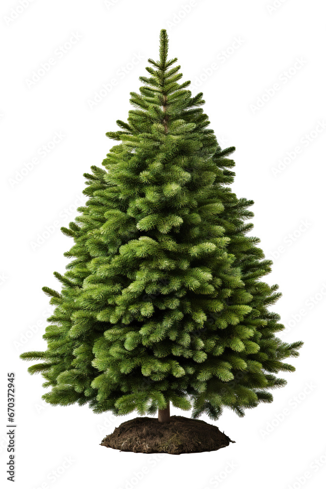 green Christmas tree, detailed and sharp image, white background PNG green Christmas tree, detailed and sharp image, white background PNG