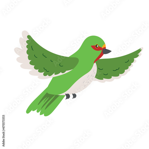 little color bird flying