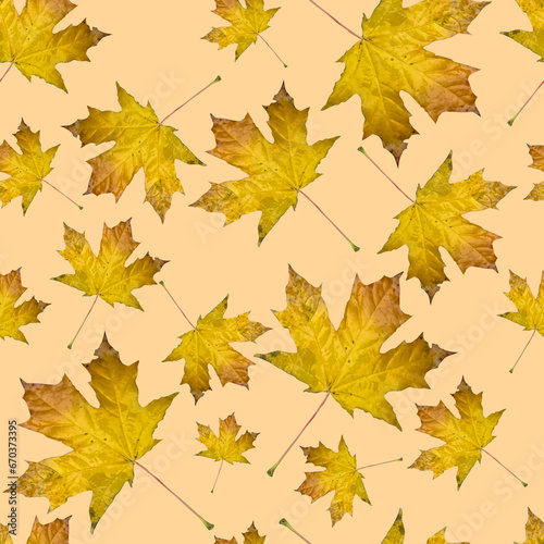 seamless pattern autumn maple leaves