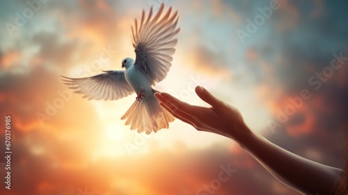 Hand lets the bird go  releases it or sets it free with morning sunlight in the background. Freedom  set free  independence  liberty  and release concept.
