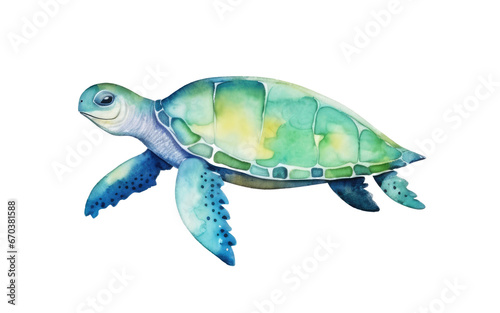 Watercolor sea turtle isolated on white background. Marine animal, inhabitants of the ocean.
