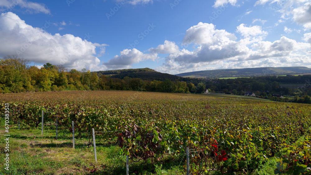 Champagne Vineyards in the Marne valley. Hauts-De-France region