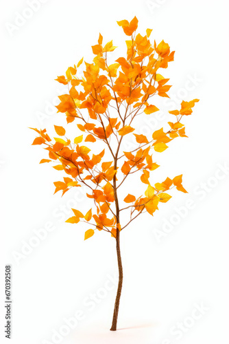 Tree with yellow leaves on it against white background.