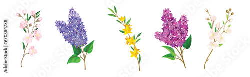 Blooming Flower Twig and Branch with Leaf Vector Set