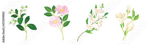 Blooming Flower Twig and Branch with Leaf Vector Set