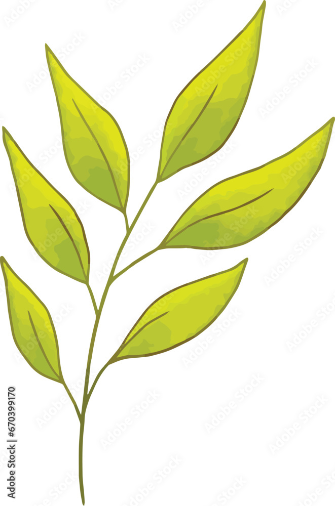 Leaves elements. Garden floral plants vector illustration.
