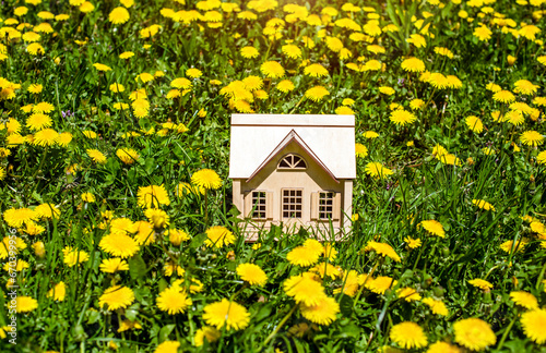 The symbol of the house stands among the yellow dandelions 