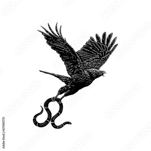 eagle and snake hand drawing vector isolated on background.