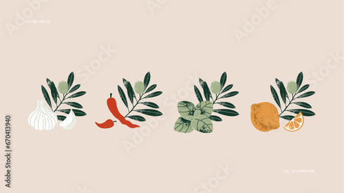 Olive oil design templates. Vintage style. Chili pepper with garlic and basil with lemon. Vector illustration