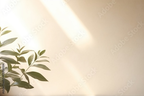 Minimalistic Light Background With Blurred Foliage Shadow