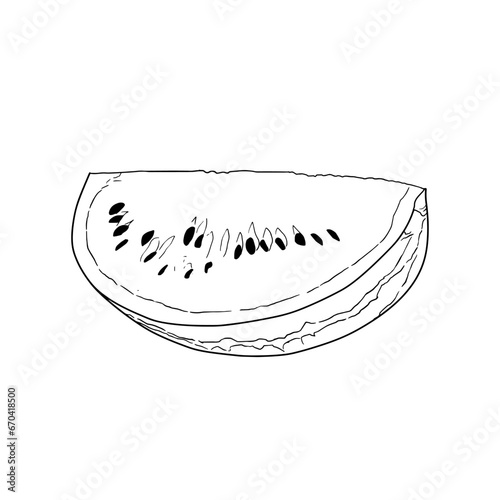 Hand drawn watermelon fruits on white background. 