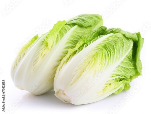 Napa cabbage isolated on white background