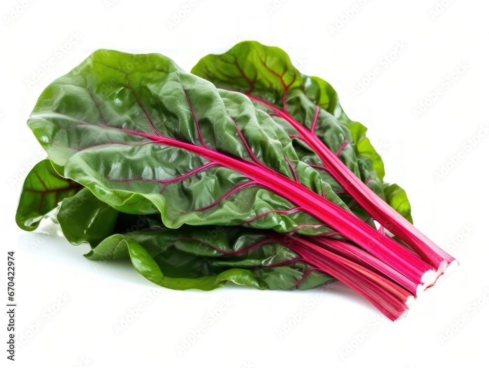 Bunch of swiss chard leafves isolated on white background Bunch of swiss chard leafves isolated on white background