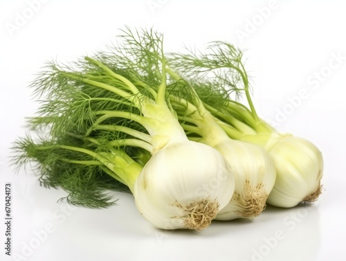 Florence fennel isolated on white background one fresh bulb