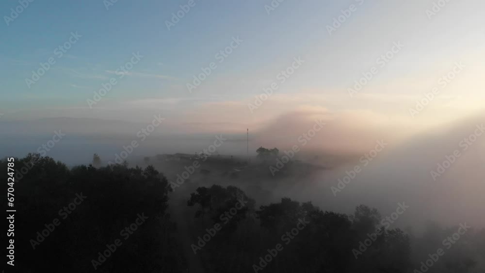 The sun is shining and the mist covers the tea hills, roads, and coffee hills in Lam Ha, Lam Dong, Vietnam 