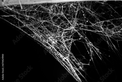 spider web on a dark background,for halloween,business abstraction