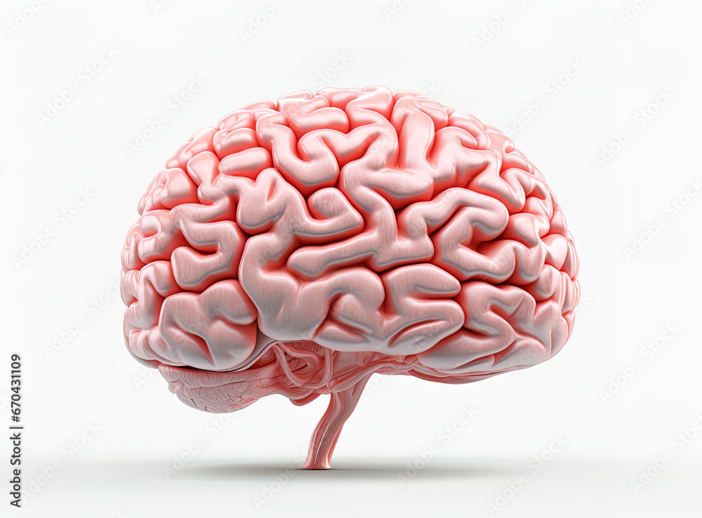 human brain model, generative ai human brain model, generative ai
