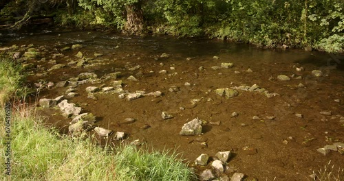 mid shot of river dove at milldale photo