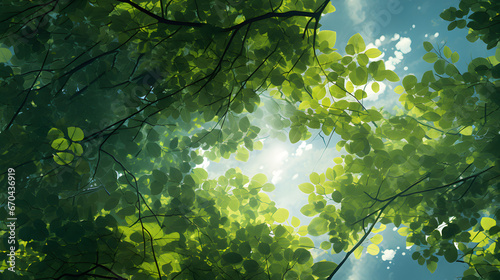 Seamless texture of leafy canopy with sunlight filtering
