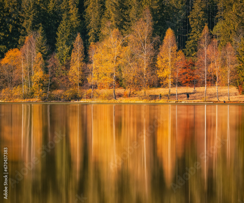 autumn trees reflected in water