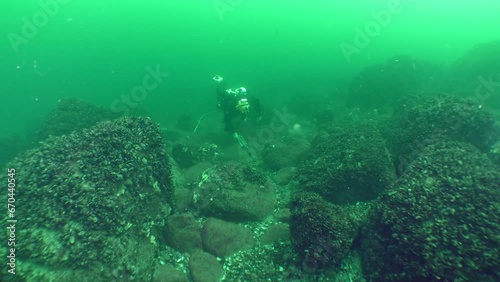 Underwater archaeological research: A diver with a metal detector examines the seabed among the rocks, the camera slowly approaches the diver. photo