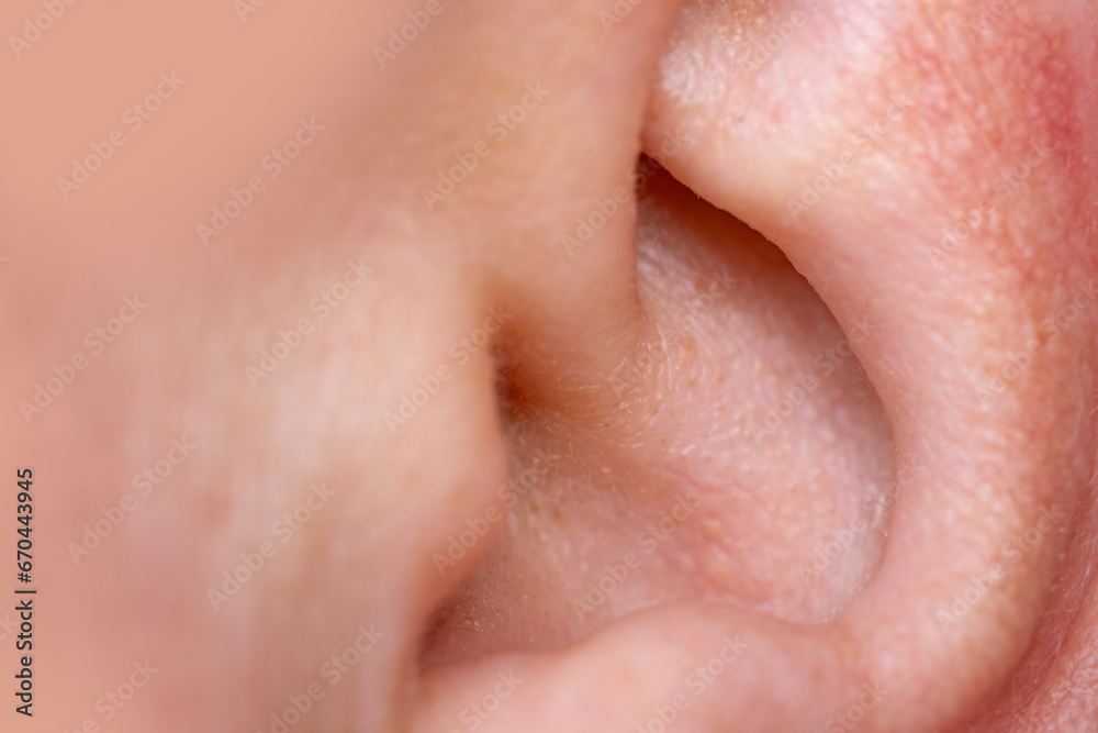 auditory organ Ear shell close-up, diagnosing ear-related diseases and conditions, ear health concept, hearing care and issues related to ears, auditory organ Ear shell close-up, diagnosing ear-related diseases and conditions, ear health concept, hearing care and issues related to ears,