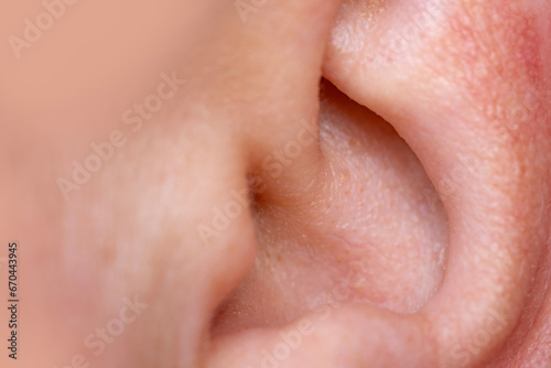 auditory organ Ear shell close-up  diagnosing ear-related diseases and conditions  ear health concept  hearing care and issues related to ears 