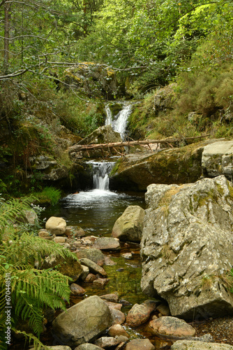 Bosque de hayas y cascadas en la rioja