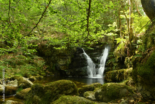 Fototapeta Naklejka Na Ścianę i Meble -  Bosque de hayas y cascadas en la rioja